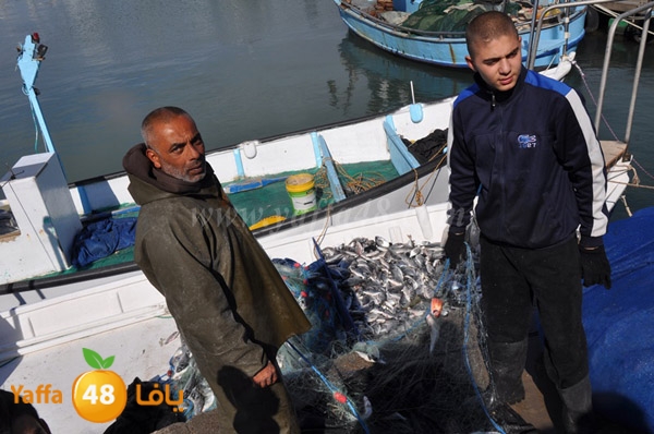 samak denisss (10).JPG